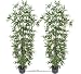 TWO Pre-Potted 6' Artificial Bamboo Trees with REAL BAMBOO TRUNKS, 3 Iris Stems Free with Purchase (retail price $23.07)