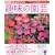 NHK ��̉��| 2009�N 07���� [�G��]