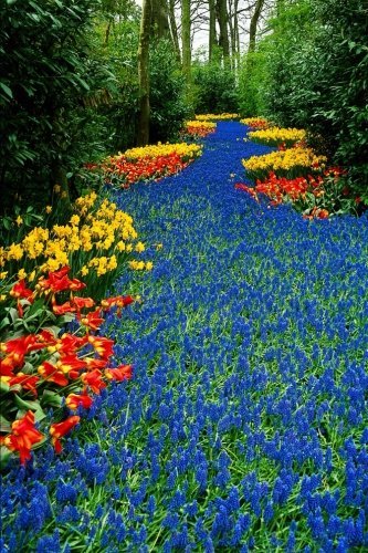 Floral River Field in Keukenhof Netherlands Journal: 150 page lined notebook/diary