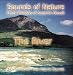 THE RIVER (Sounds of Nature Series) [CD on Demand]