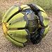 Tyco� Radio - controlled Shell Shocker