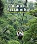 Financial Accounting: Information for Decisions