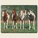 Kitchen & Housewares : Pint Size Paint Horses Western Horse 11.5" by 15" Large Glass Cutting Board