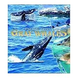 Gray Whales Coverlet