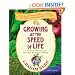 Growing at the Speed of Life: A Year in the Life of My First Kitchen Garden