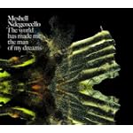 Shirk - Me'Shell Ndegeocello
