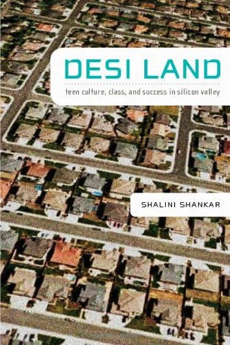 Desi Land: Teen Culture, Class, and Success in Silicon Valley