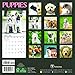 2016 Puppies Mini Calendar
