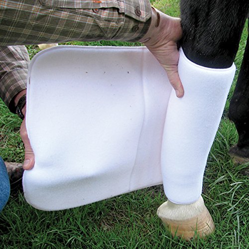 CASHEL No Bow Bandage