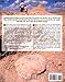 Bones Rock!: Everything You Need to Know to Be a Paleontologist