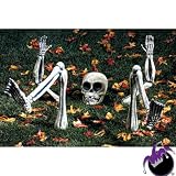 Ground Breaker Light Skeleton