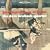 Jazz Impressions of Japan