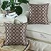 CaliTime Faux Silk Throw Pillow Cover Case for Couch Sofa Home Decor Two-Tone Circles Rings Geometric Chain Embroidered 18 X 18 Inches Taupe