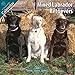 labrador44  - Labrador Retriever Mixed 2010 Wall Calendar 12 X