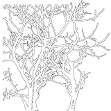 The Crafter's Workshop 6x6 Template: Branches