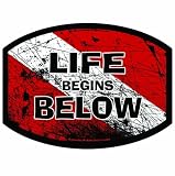 Aquatic Addiction Dive Signal Life Begins Below Scuba Dive Decal Sticker (858635001226)