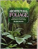 Architectural foliage : shape, form and texture of foliage plants in garden design