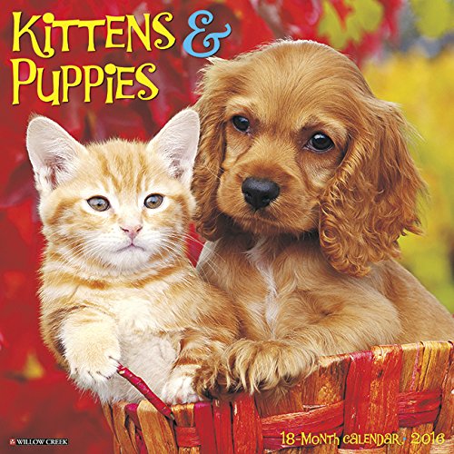 2016 Kittens & Puppies Wall Calendar