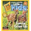 National Geographic Little Kids