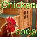 The Chicken Shack Coop