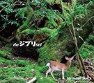 the ジブリ set