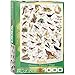 EuroGraphics Birds Fields and Gardens Puzzle (1000-Piece) (6000-1259)