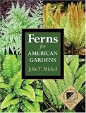 Ferns for American Gardens