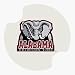 University of Alabama Carsters - Coasters for Your Car