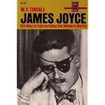 James Joyce His Way of Interpreting The book cover