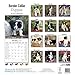 Border Collie Puppies Calendar - Breed Specific Border Collie Puppies Calendar - 2015 Wall calendars - Dog Calendars - Monthly Wall Calendar by Avonside