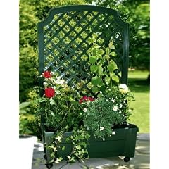 KHW Pflanzkasten mit Wassersp. plus Spalier Calypso gr�n (Gr��e: 79 x 34 cm)