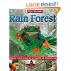 Rain Forest (DK Eye Wonder)