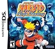 Naruto: Ninja Destiny