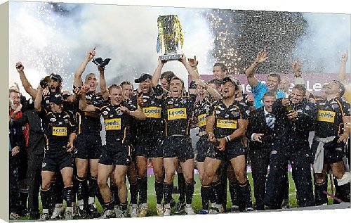 Box Canvas Print of Leeds Rhinos