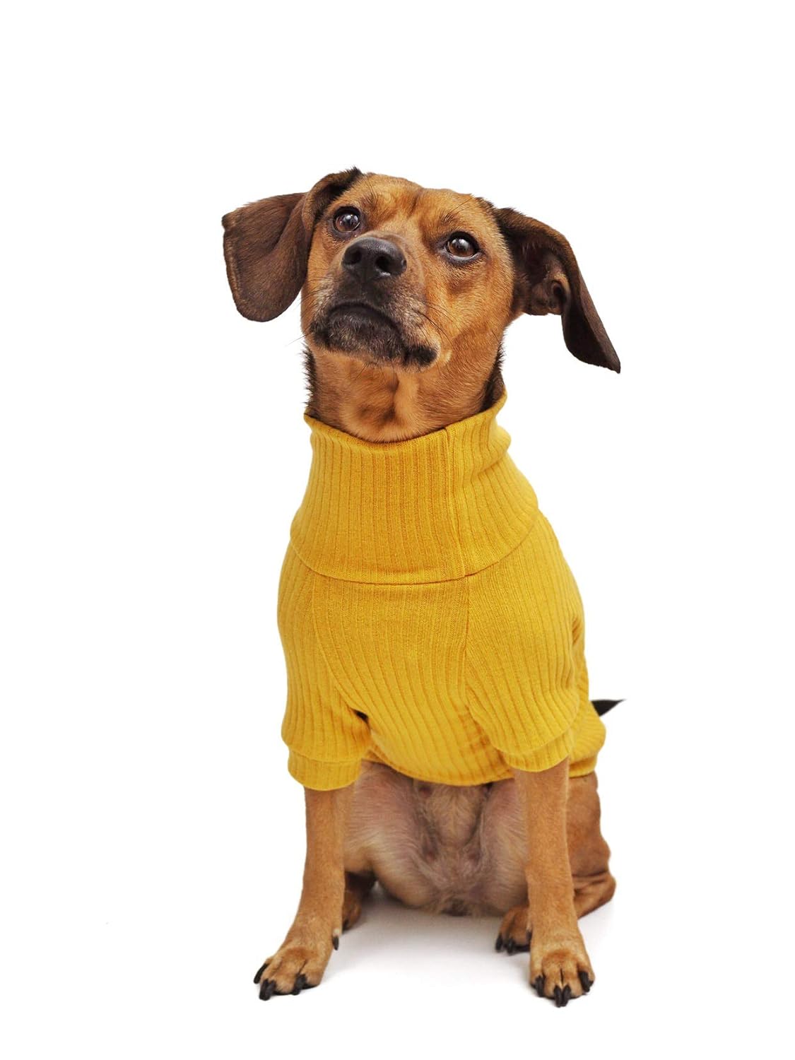 Pet Clothing available direct from the designer at farmers market online