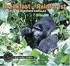 Breakfast in the Rainforest: A Visit with Mountain Gorillas (Traveling Photographer)