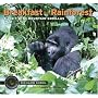 Breakfast in the Rainforest: A Visit with Mountain Gorillas (Traveling Photographer)