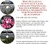 The Guerilla Marketing, Building Effective Lead Capture Web Pages, Sales Letters for Taxidermy Businesses