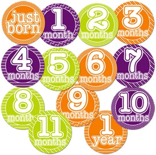 Marsh Baby Monthly Baby Belly Stickers Gender Neutral 13 Stickers From Just Born to One Year