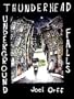 Thunderhead Underground Falls