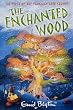 The Enchanted Wood