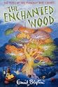 The Enchanted