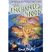 The Enchanted Wood (The Faraway Tree)