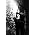 Thumbnail image of The Killers