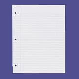 Reinforced Filler Paper, Narrow Rule, 11'x8 1/2', White (SPRWB213RN)