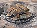 SteelFreak Wagon Wheel Firewood Grate for Fire Pit - Made in The USA (32 Inch) Black