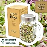 グラスジャー・スプラウト栽培セット：グリーン[お洒落なジャーでヘルシーなカイワレ野菜を作ろう！]