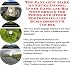 Search : The Fantastic Make An Extra Income, Inner Game and Biz Networking for Poems And Other Poetries On-line Businesses 3 CD Course