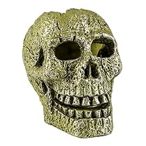 GloFish Ornament, Skull
