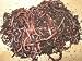 WORMS AND BEDDING